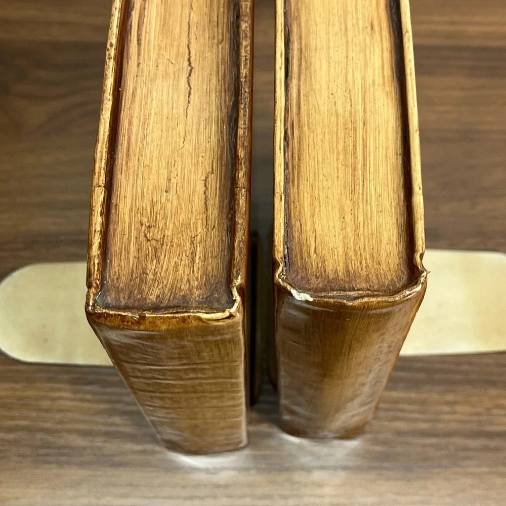 Vintage snowy Owl Barn Owl Handmade‎ Wooden Shellac Book Ends